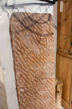 Original Fossil from the Seabed with Beach Sand