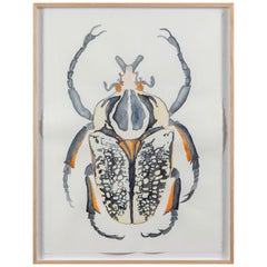 Original Framed Watercolor Artwork by Linnea Saine Titled "Beetle"