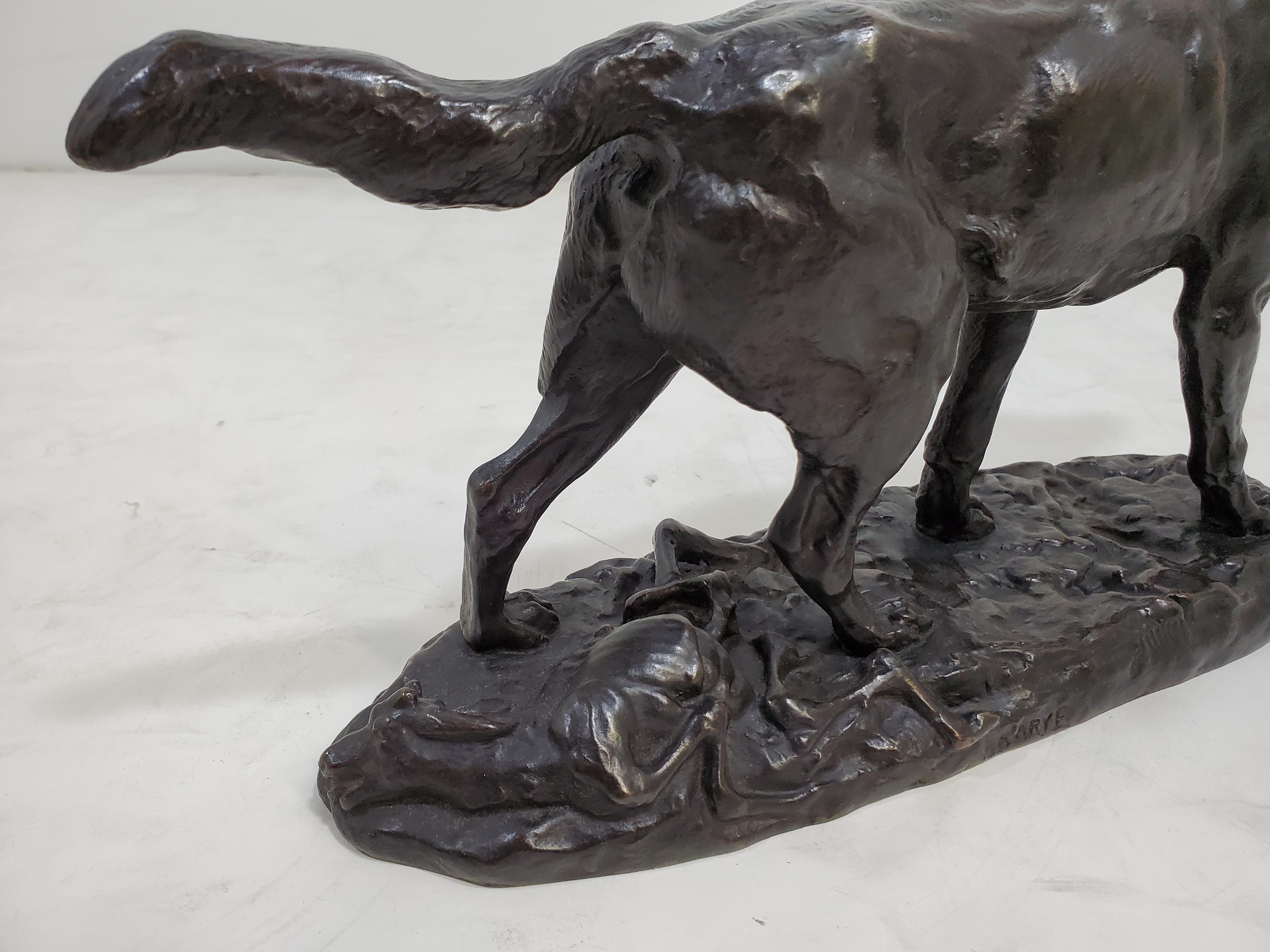 Original französische Bronzeskulptur eines streienden Wolfes aus Bronze, von Antoine- Louis Barye im Angebot 5