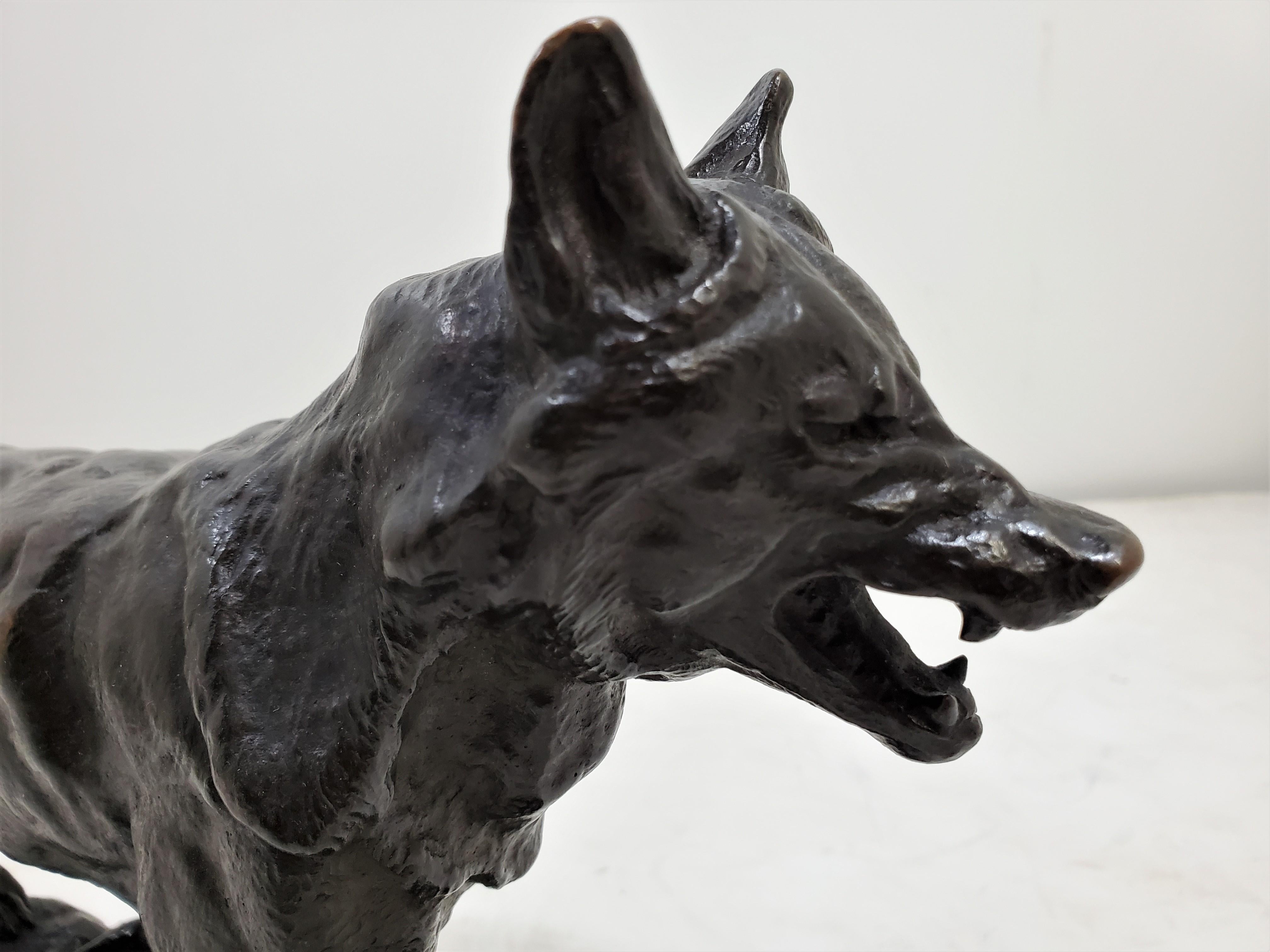 Original französische Bronzeskulptur eines streienden Wolfes aus Bronze, von Antoine- Louis Barye im Zustand „Gut“ im Angebot in New York City, NY