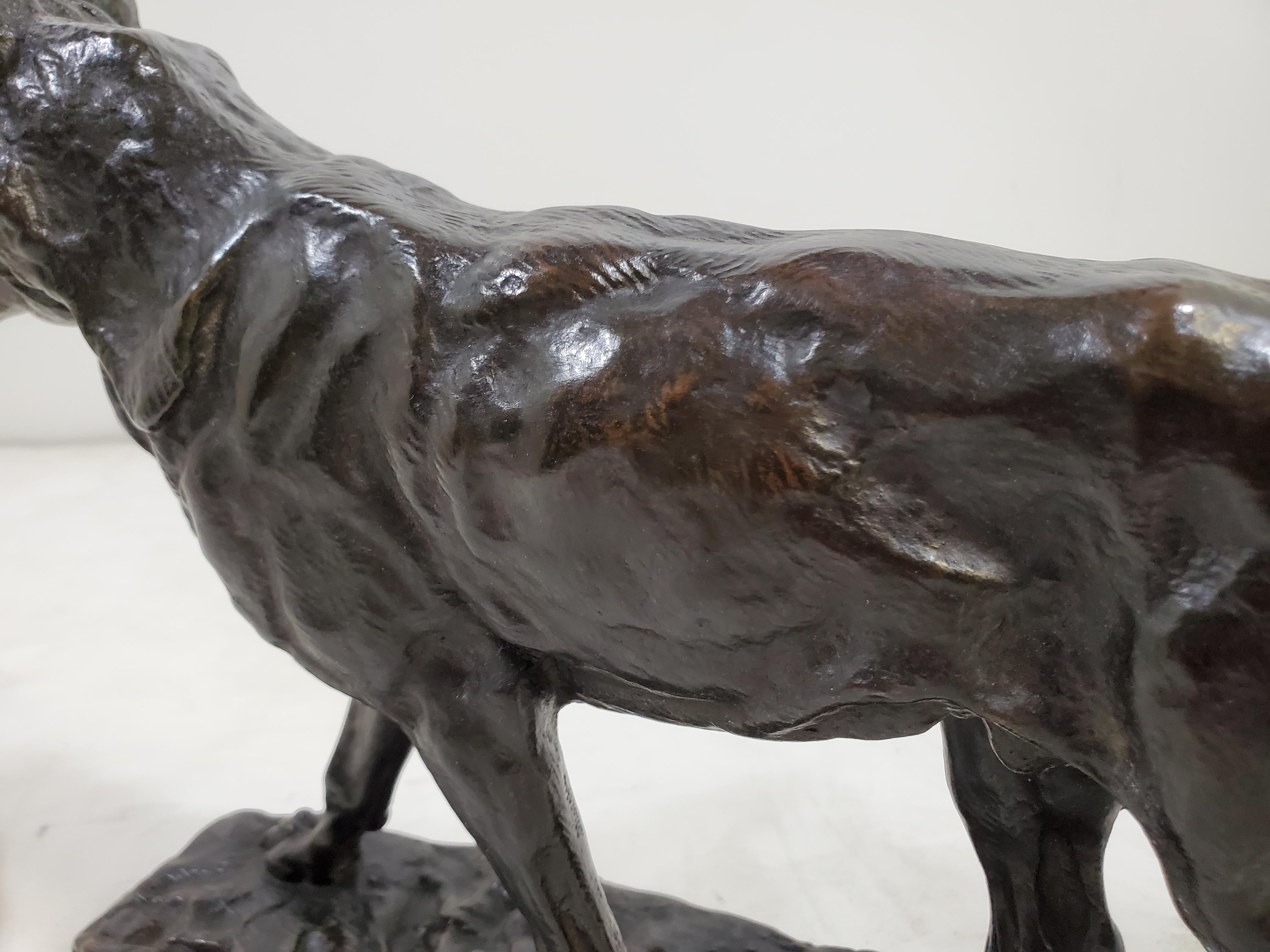Sculpture française originale d'un loup strié, par Antoine- Louis Barye en vente 2