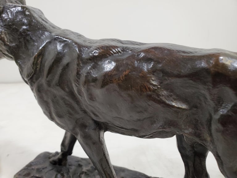 Original French Bronze Sculpture of a Striding Wolf, by Antoine- Louis Barye For Sale 4