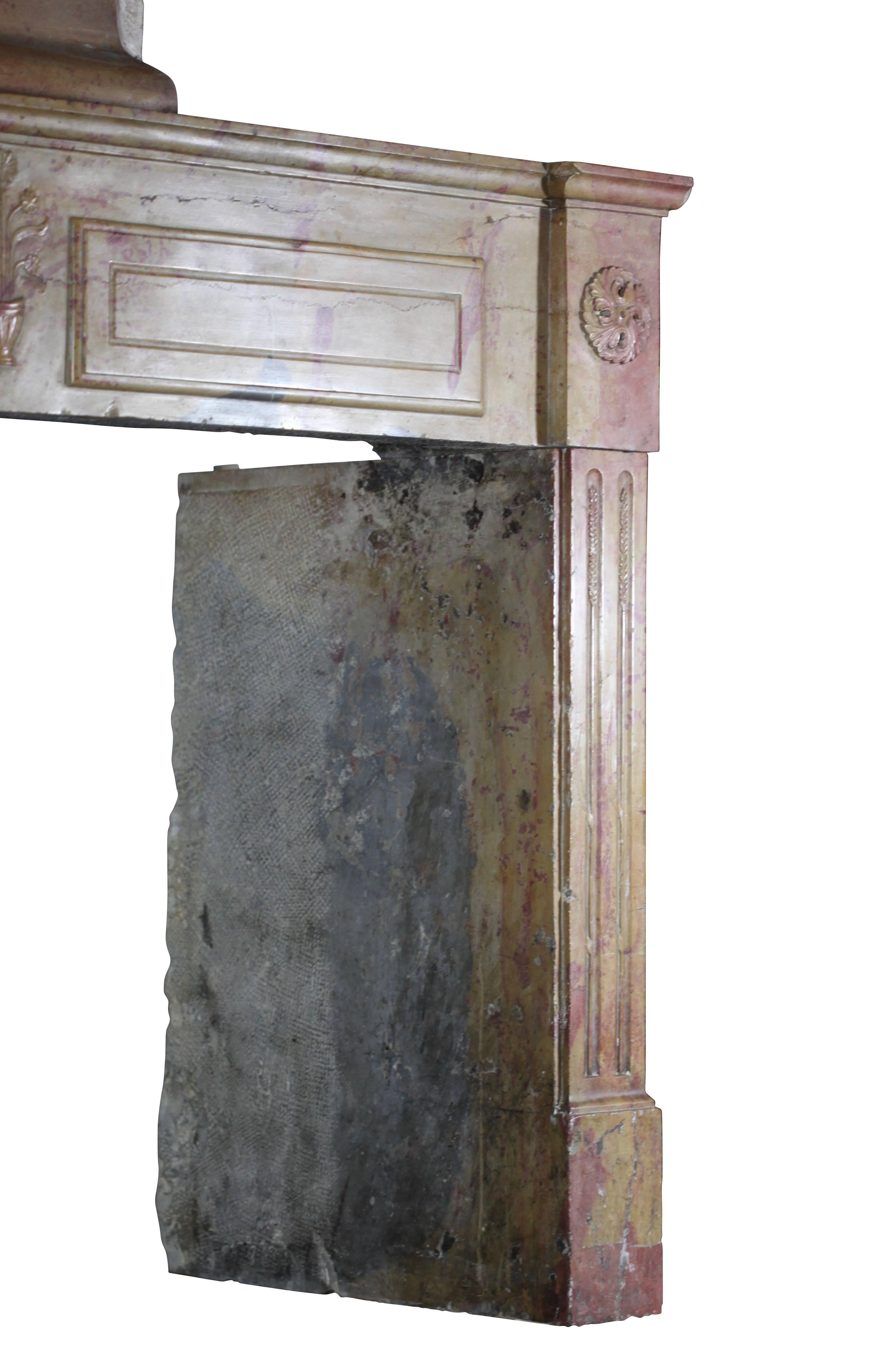 Carved Original French Directoire Period Vintage Fireplace Surround Designed by Nature For Sale