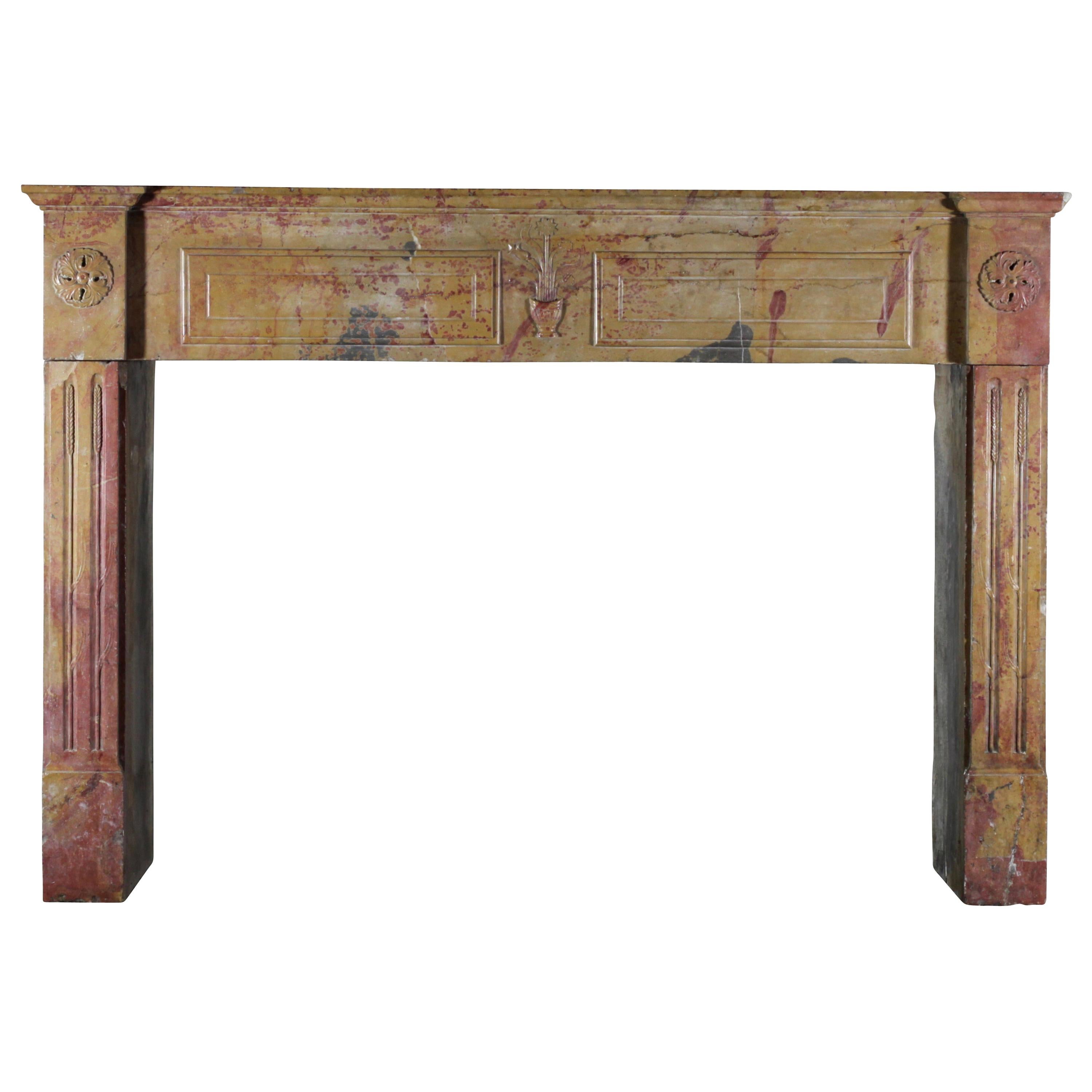 Original French Directoire Period Vintage Fireplace Surround Designed by Nature