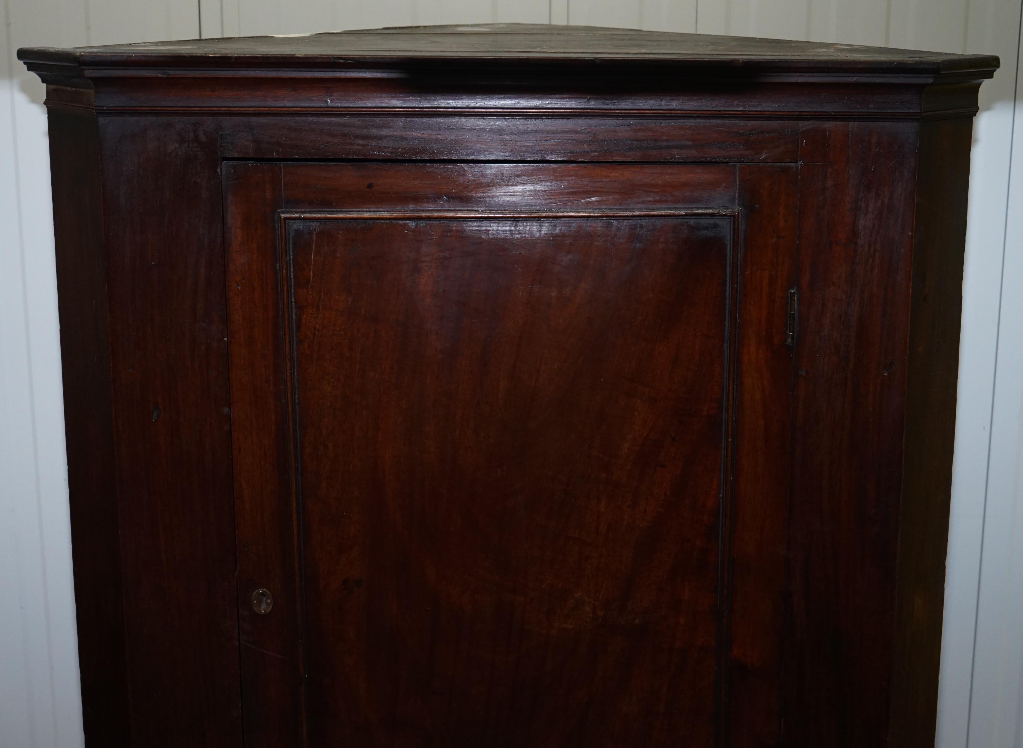 Original George III circa 1760 Solid Hardwood Corner Cupboard Large Bookcase For Sale 2