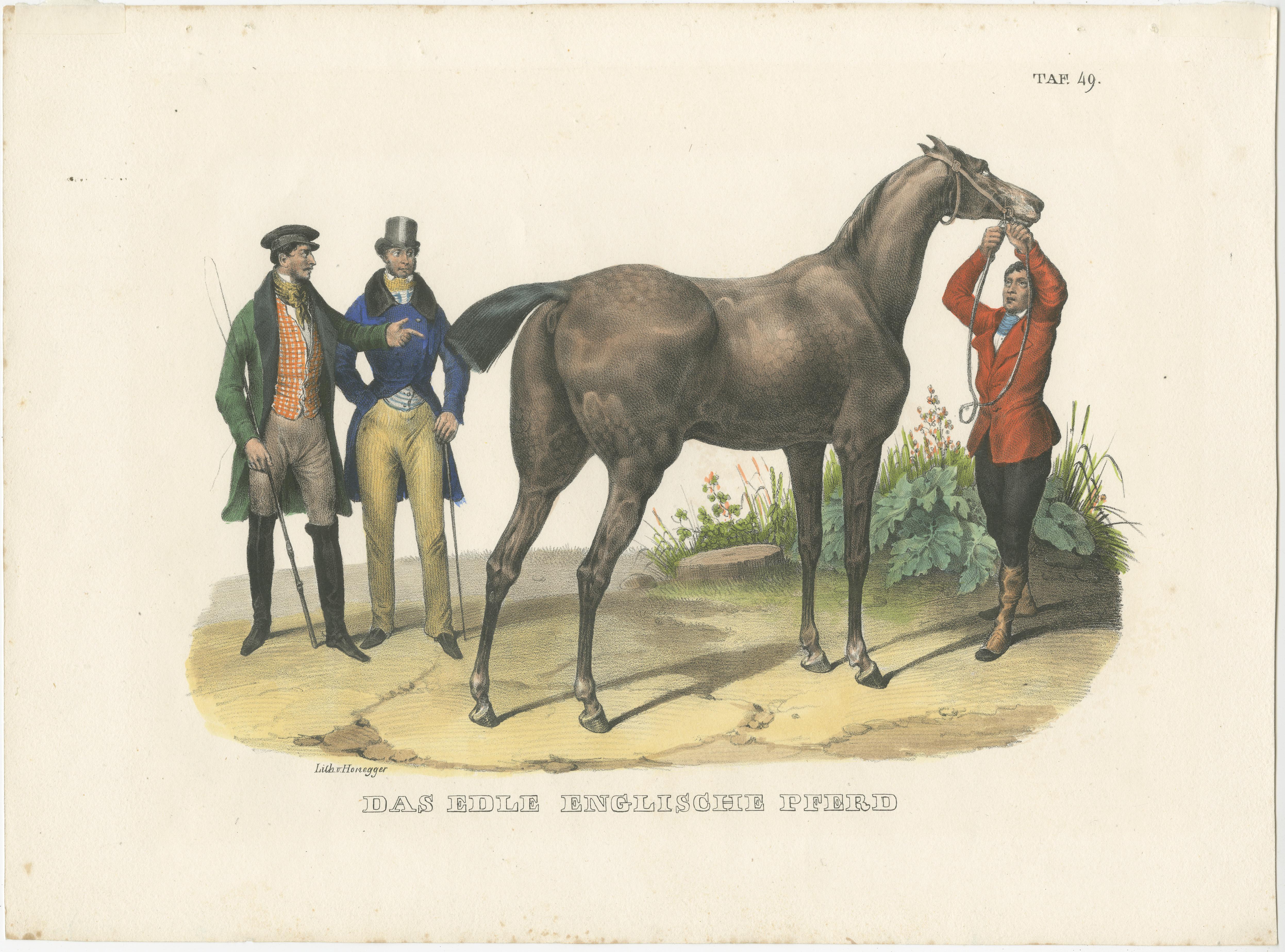 Antique print titled 'Das edle Englische Pferd'. Original lithograph of an English horse. This print originates from 'Naturgeschichte und Abbildungen der Säugethiere: nach den neuesten Systemen zum gemeinnutzigen Gebrauche entworfen, und mit