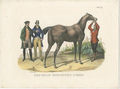 Original Hand Colored Antique Print of an English Horse, ca.1827
