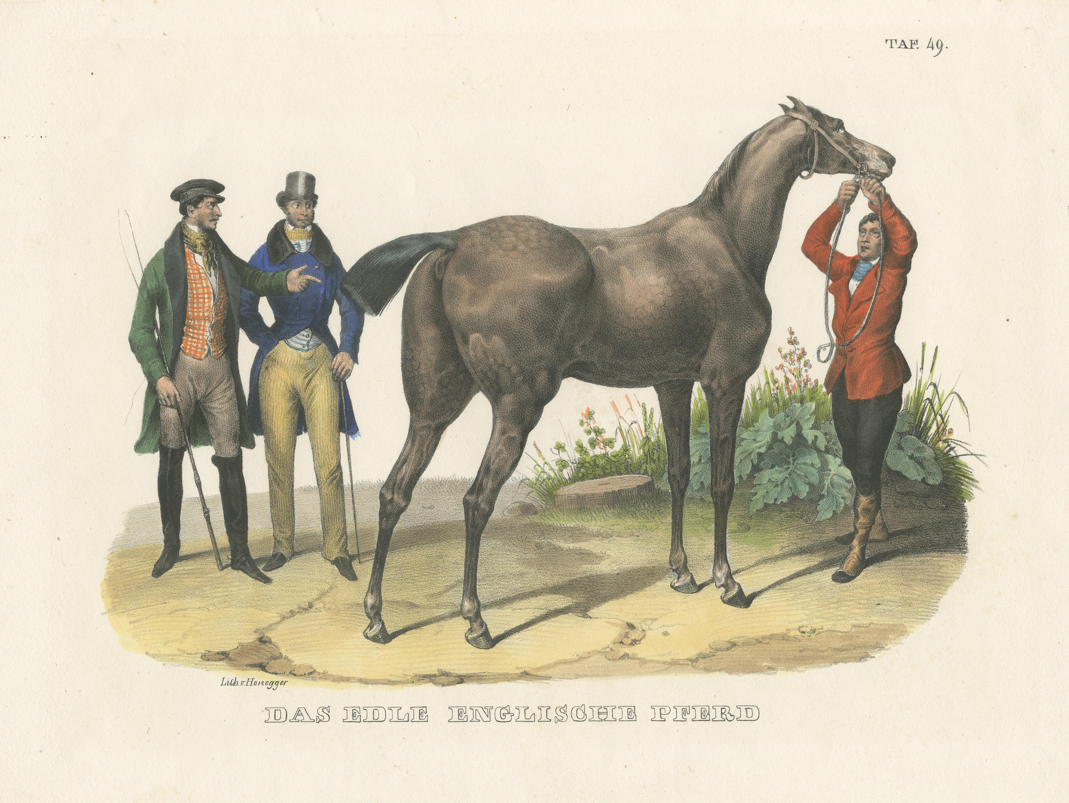 Original handkolorierter antiker Druck eines englischen Pferdes im Zustand „Gut“ im Angebot in Langweer, NL