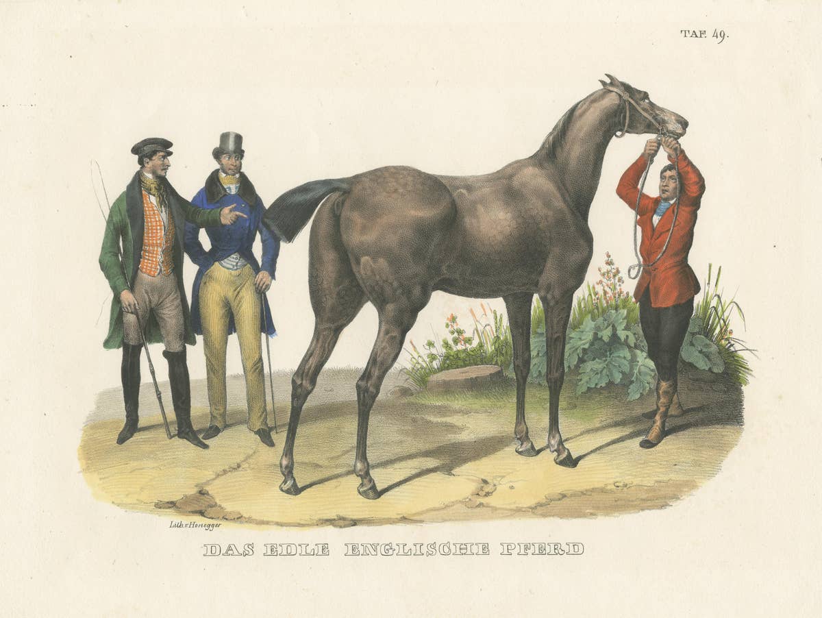 Original Hand Colored Antique Print of an English Horse, ca.1827