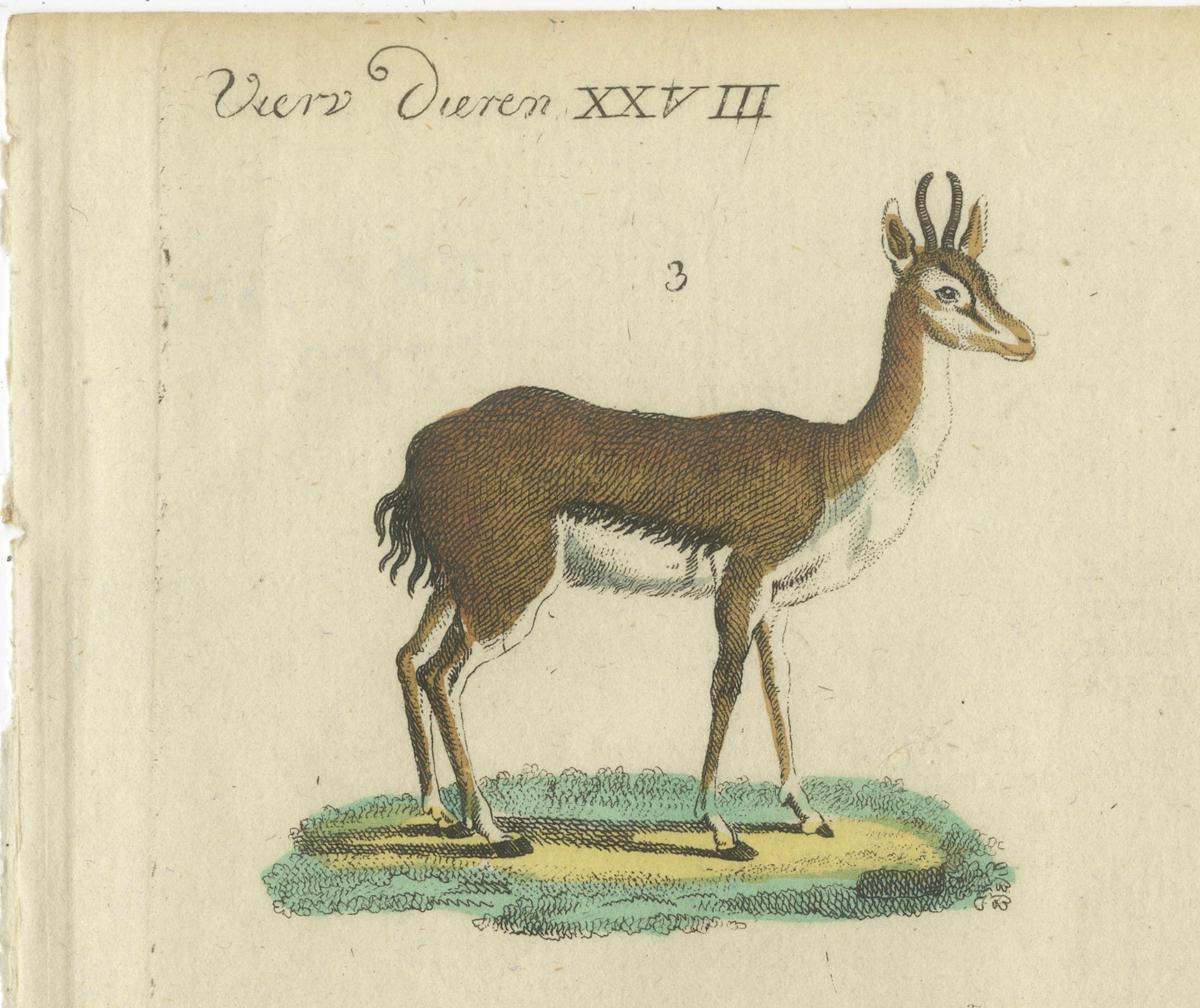 Grabado antiguo original coloreado a mano de varias especies de antílopes, hacia 1820 siglo XIX en venta