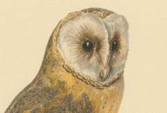Original Hand-colored Barn Owl Lithograph by M. von Wright, 1927
