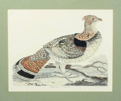 Original Hand-Colored Engraving of a 'Ruffed Grouse' by Alexander Wilson, 1808