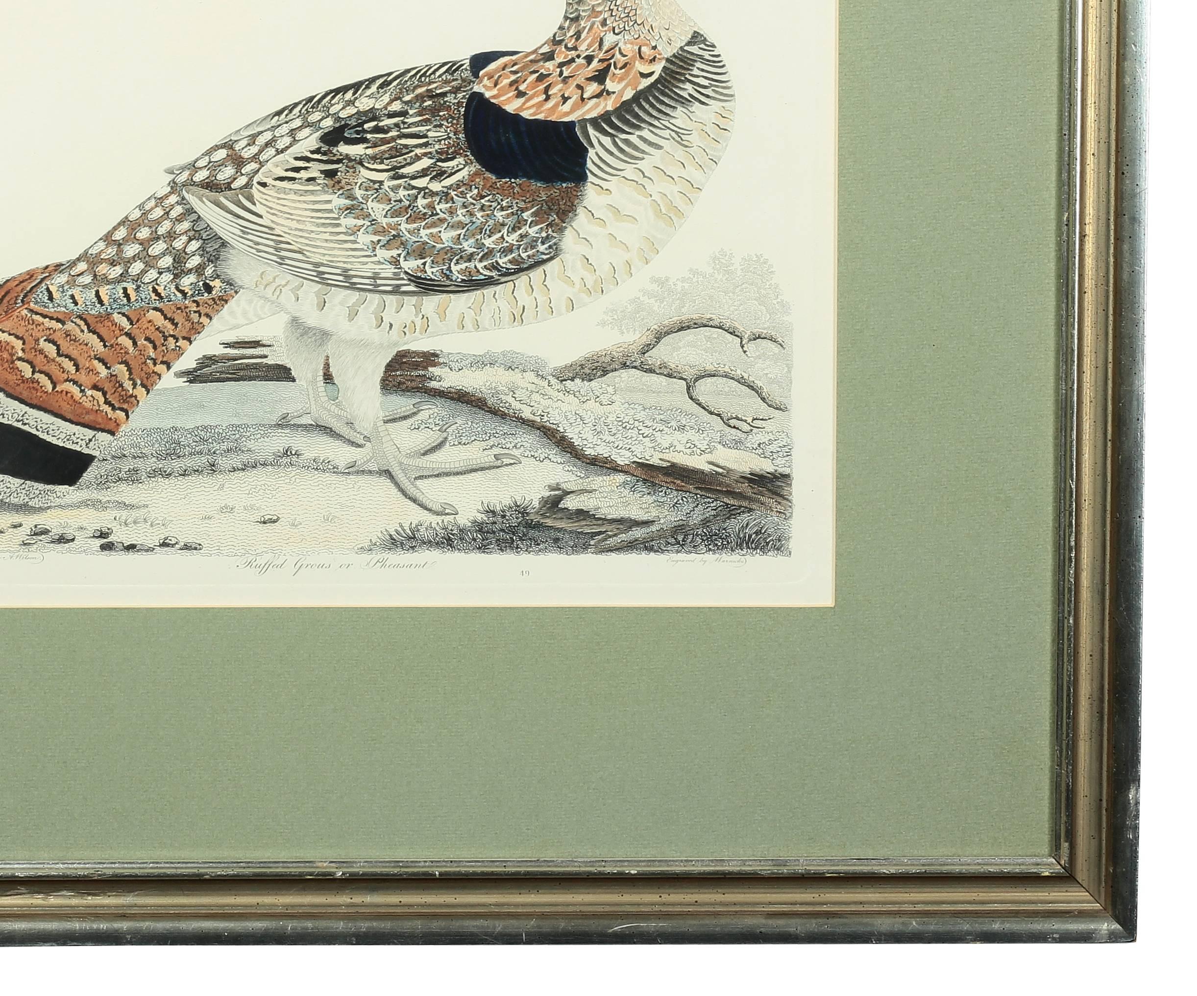 American Original Hand-Colored Engraving of a 'Ruffed Grouse' by Alexander Wilson, 1808 For Sale