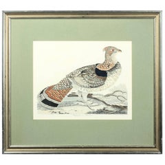 Original Hand-Colored Engraving of a 'Ruffed Grouse' by Alexander Wilson, 1808