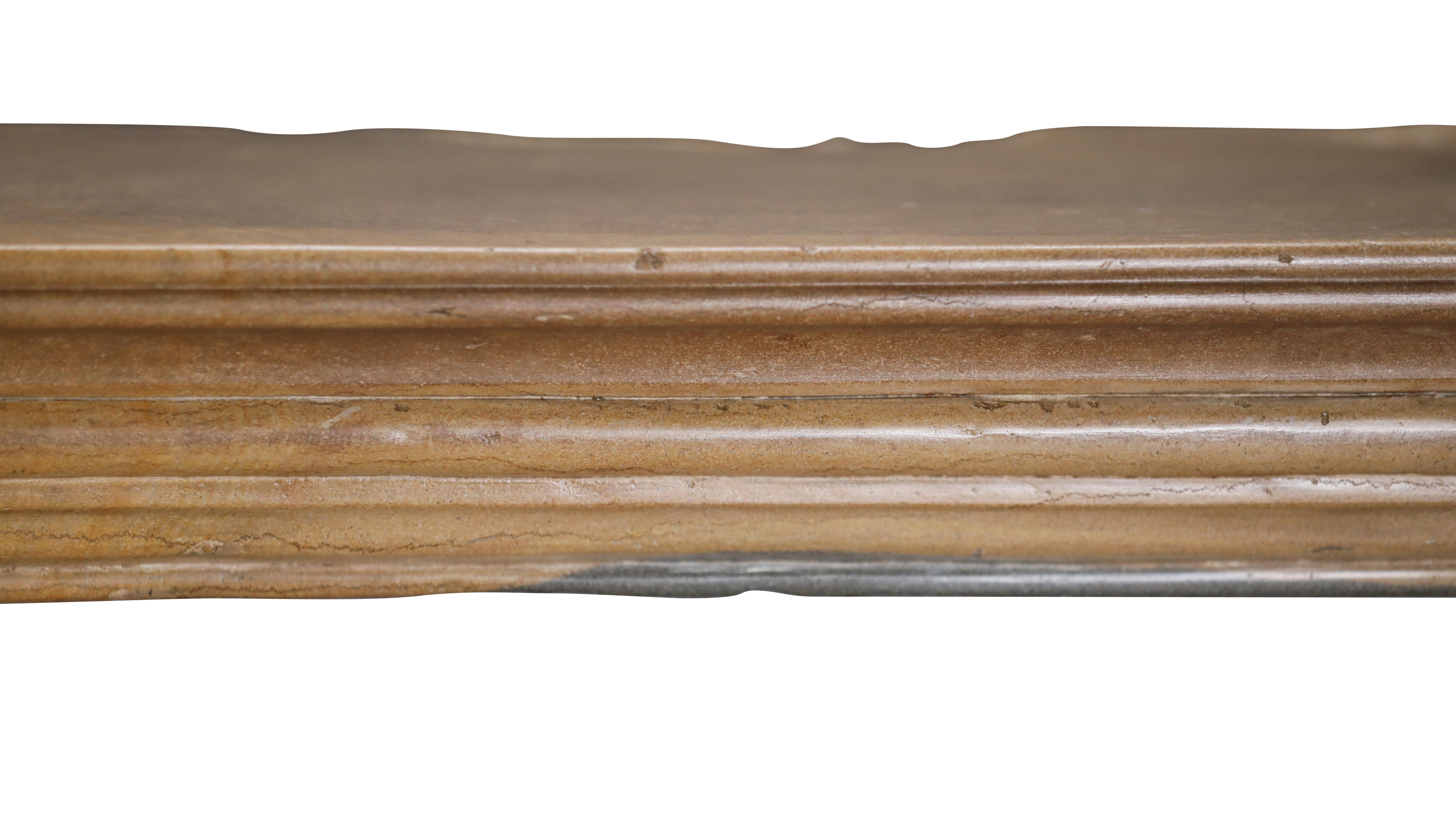 Original Historical Bicolor Stone Fireplace Mantel – Timeless French Design For Sale 10