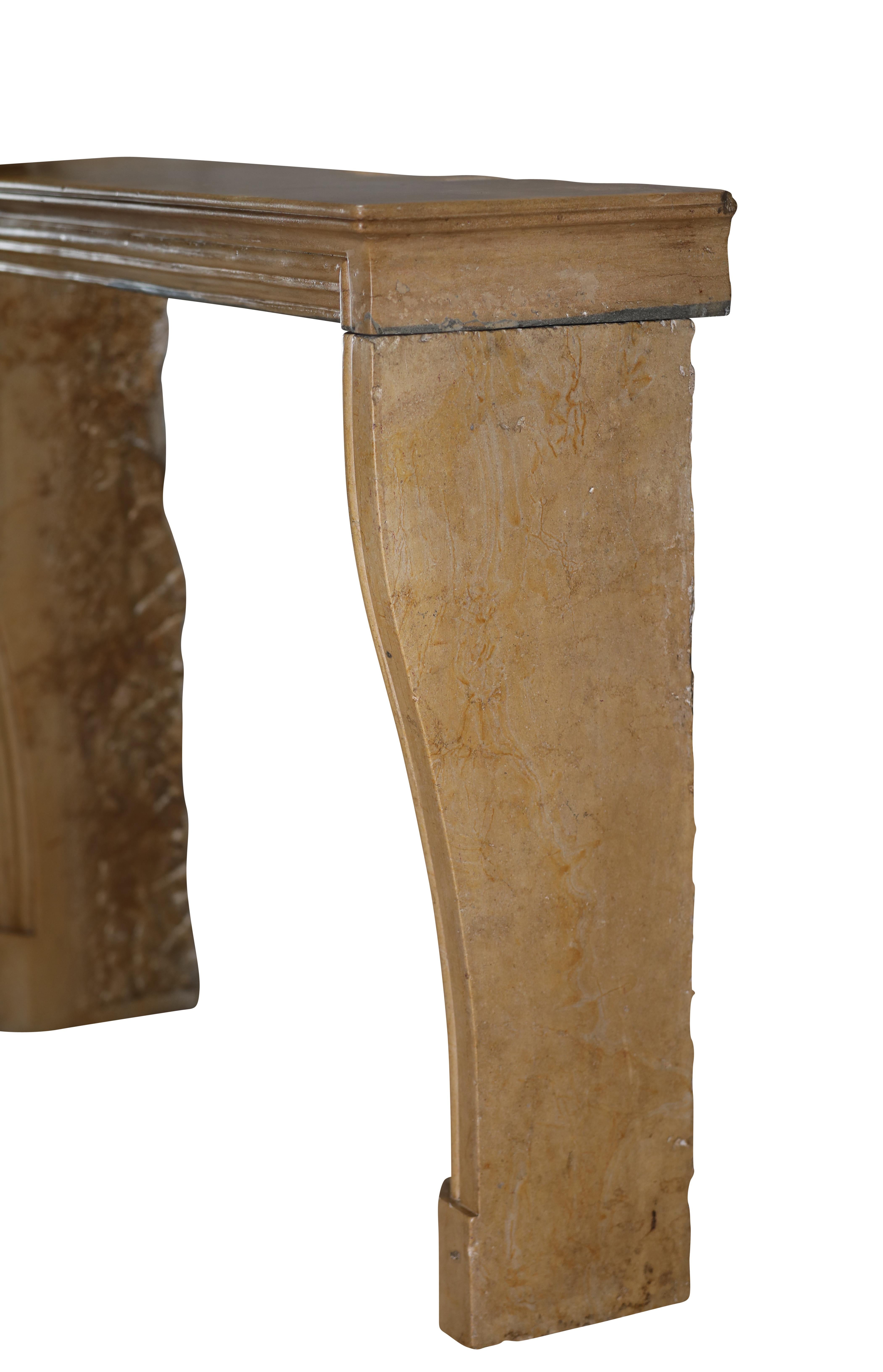 Original Historical Bicolor Stone Fireplace Mantel – Timeless French Design For Sale 11