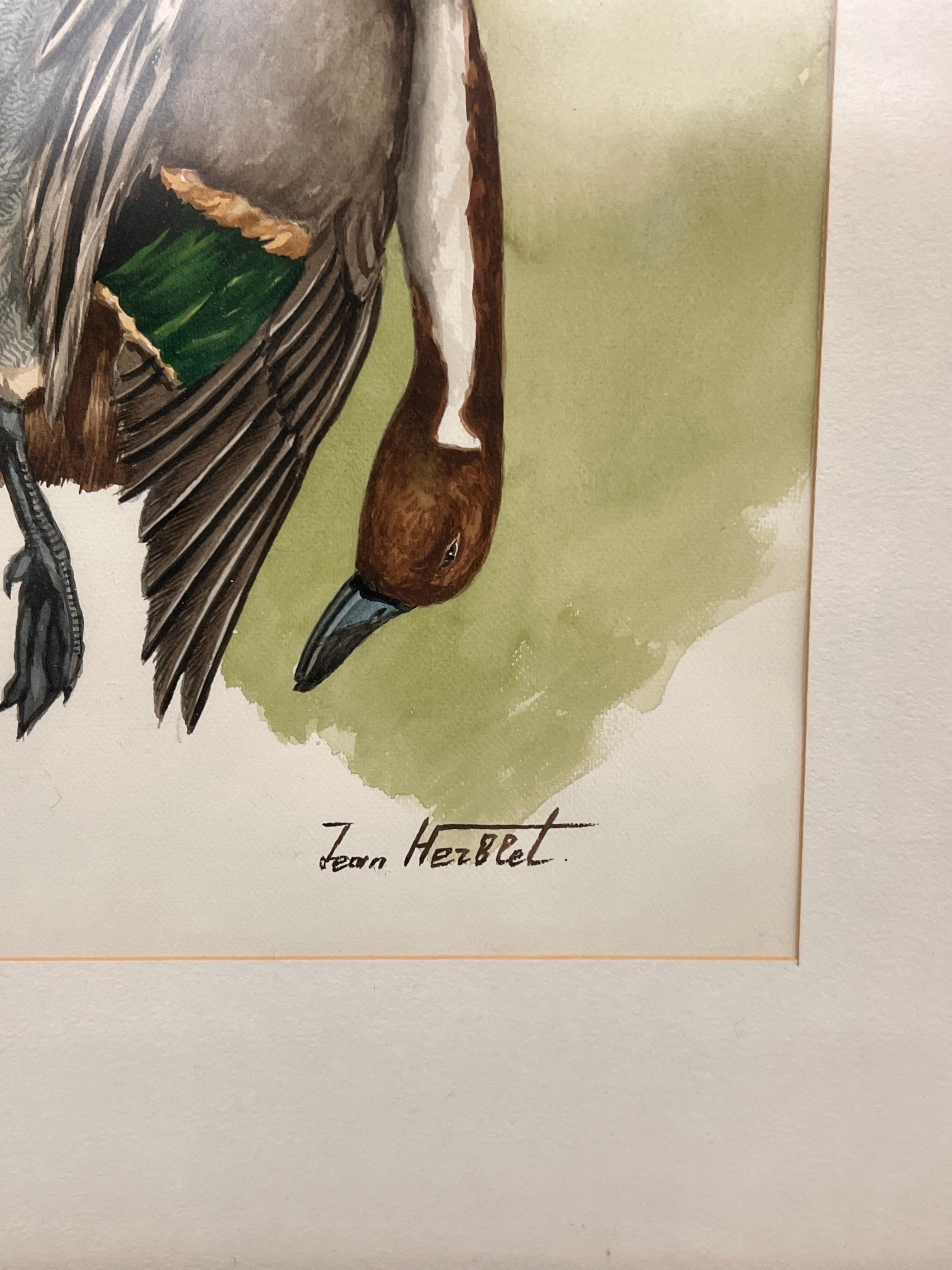 Pintura original en acuarela Perro de caza con falta del artista francés Jean Herblet Madera en venta