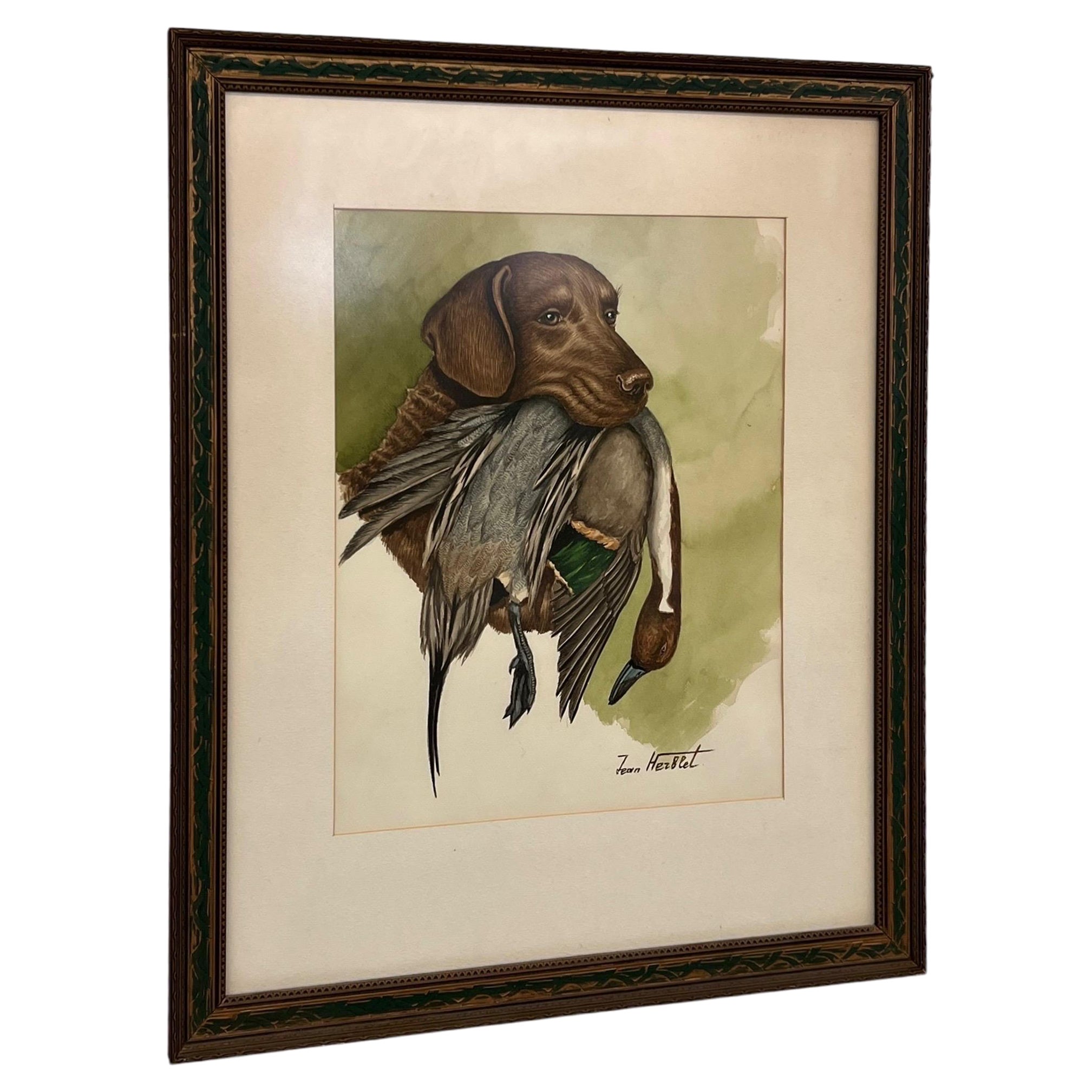 Pintura original en acuarela Perro de caza con falta del artista francés Jean Herblet