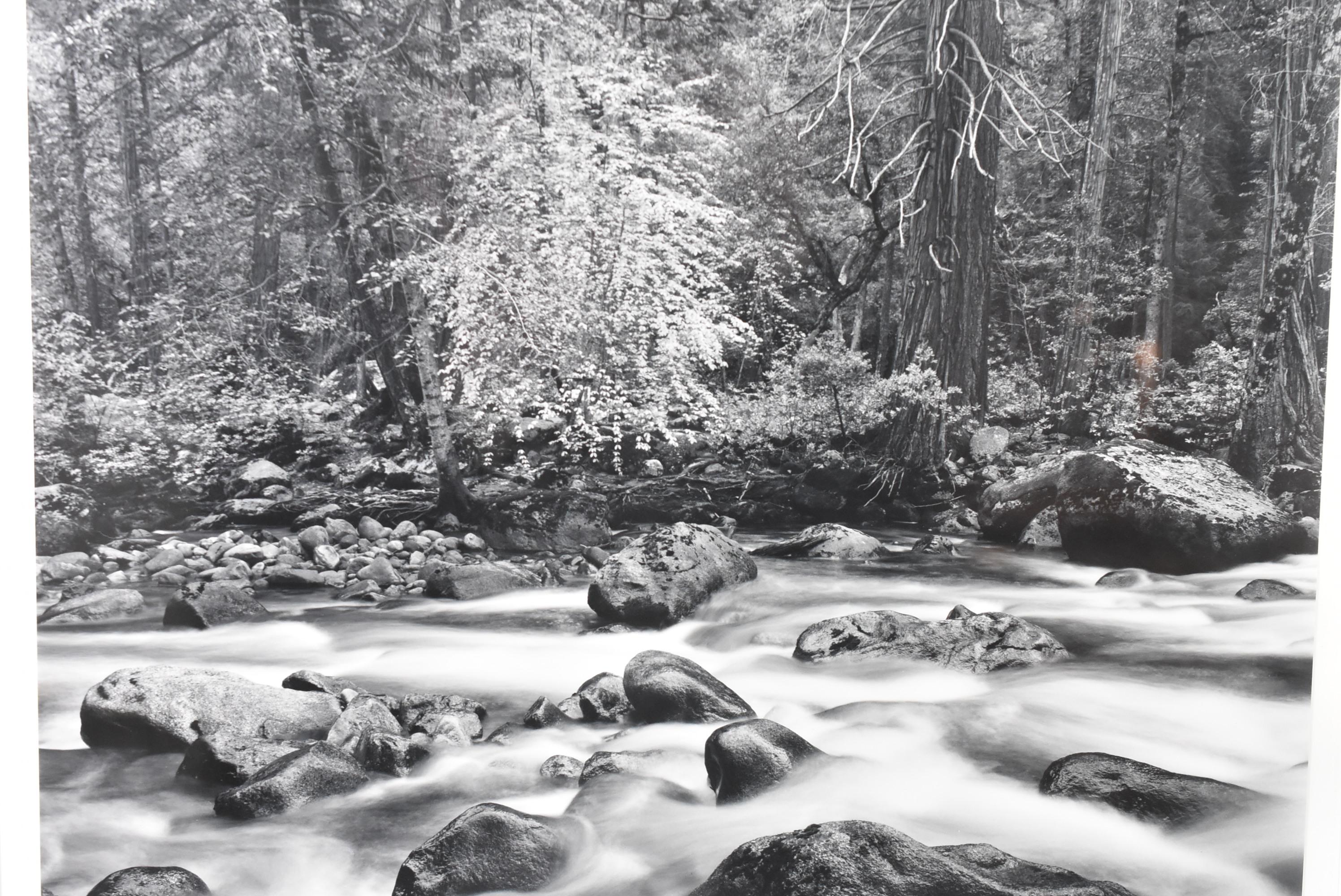 Original black and white silver gelatin print by John Sexton, signed and dated 1983. Labeled Merced River and Forest, Yosemite Valley, CA, negative made 1983, print made 1986. Overall size 17