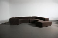 Original Lara Sofa by Pamio, Toso and Massari for Stilwood, Italy, 1960s