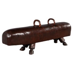Original Leather Pommel Horse Bench