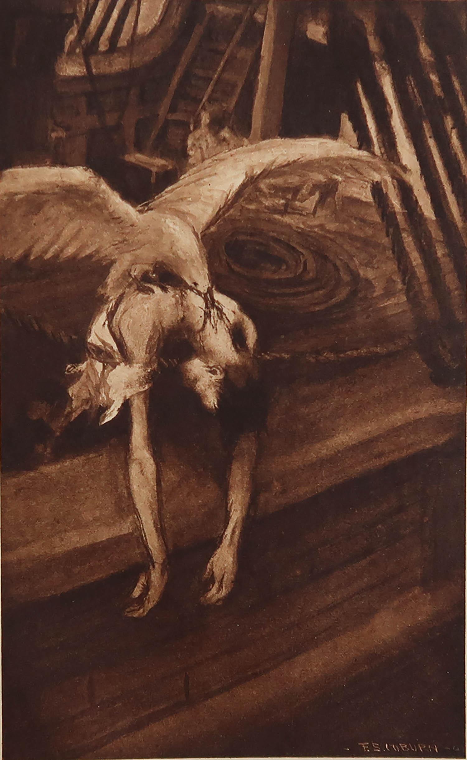 Sensational image by Frederick Simpson Coburn

In the style of one of my favourite artists, Goya

Photogravure

Limited edition of 300. This is No. 84

From the complete works of Edgar Allen Poe

Published by Putnam, New York. 1902

On