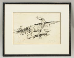 Original Lionel Edwards Pencil Drawing of a Stag on the Hill, Signed and Dated