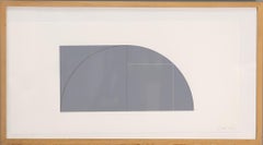 Original lithograph by ROBERT MANGOLD, Multiple Panel Paintings, signed