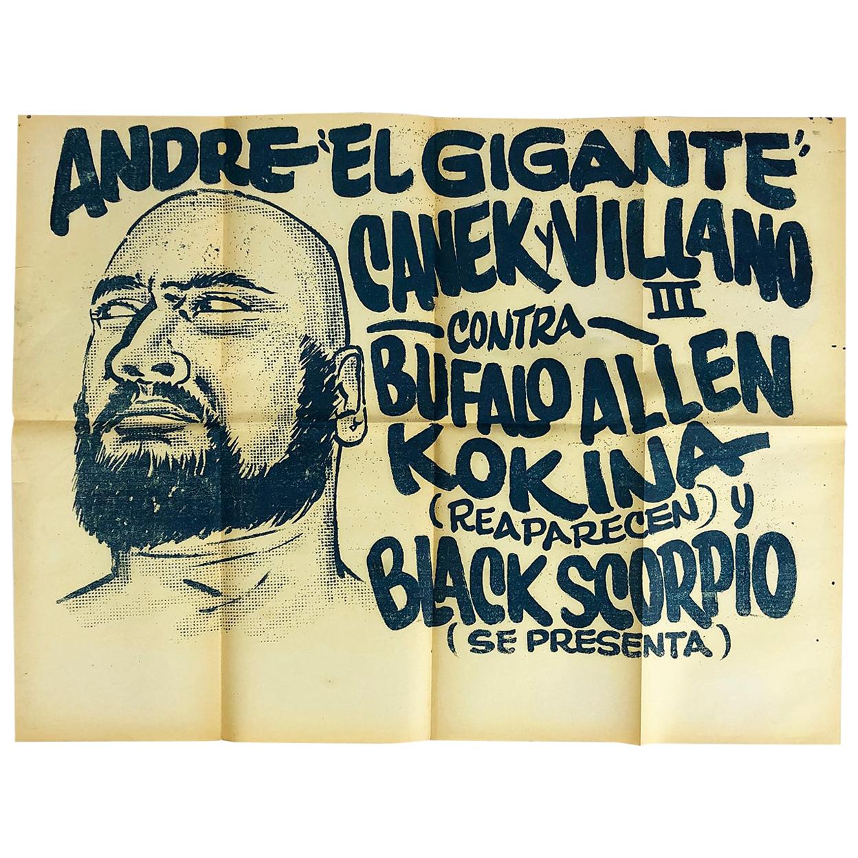 Original Mexican Wrestling Poster "Bufalo Allen"