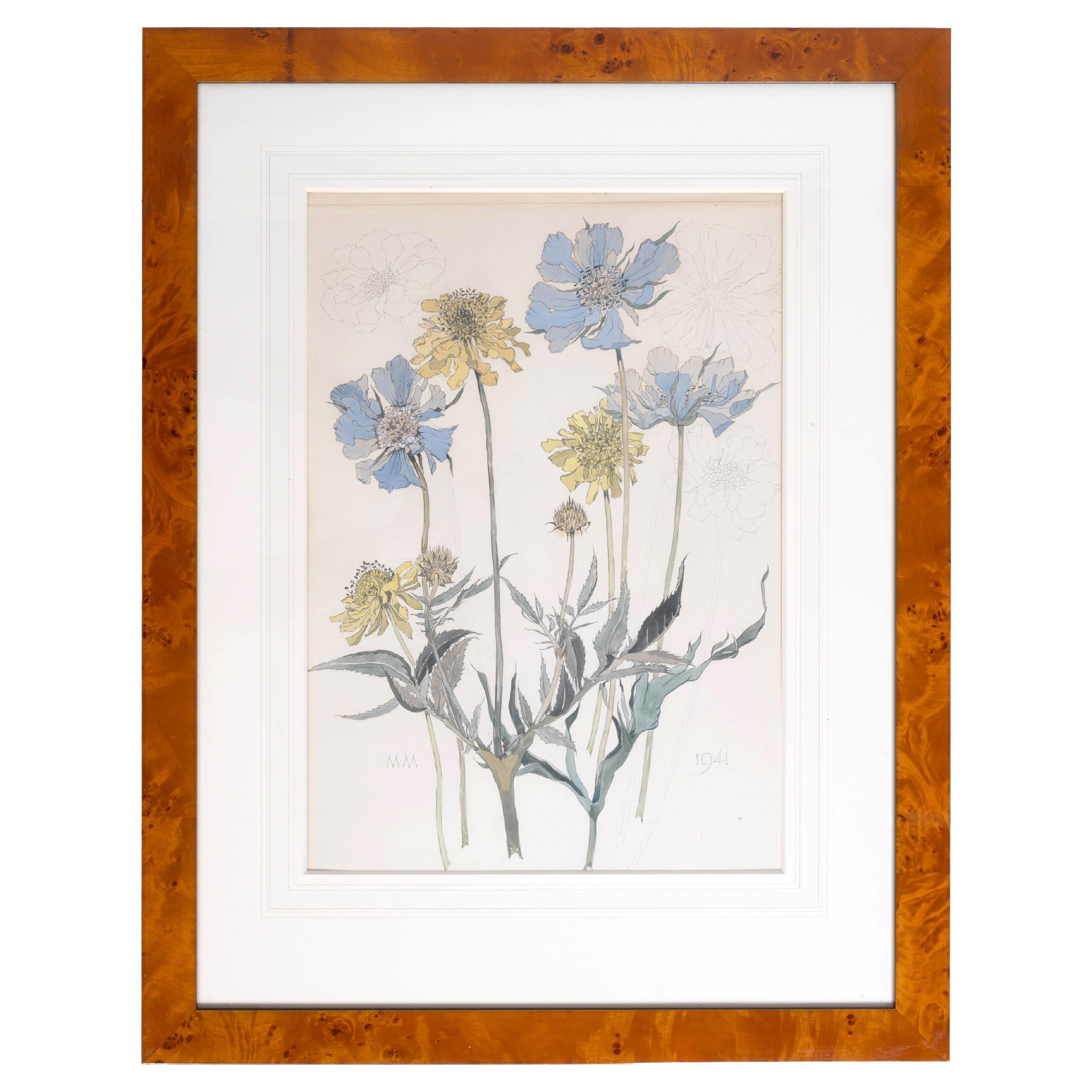 Original Mid 20th Century English School Botanical Study Pencil And Watercolour For Sale