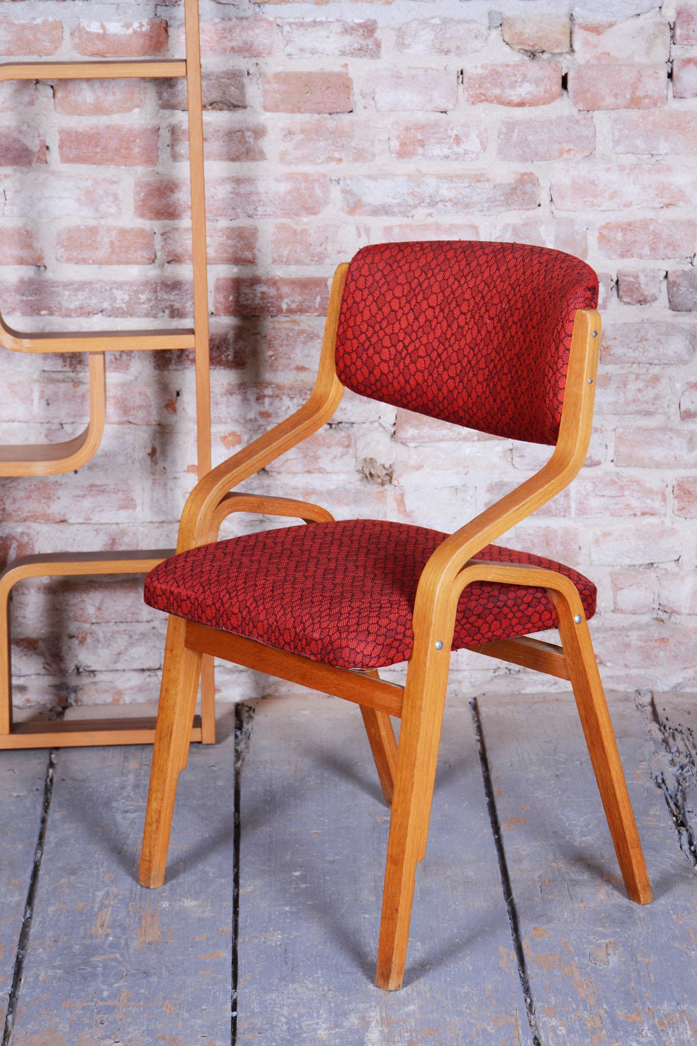 Sedia originale del metà secolo, di Ludvik Volak, Acero, Repubblica Ceca, anni '60 In condizioni buone in vendita a Brandys nad Labem, Středočeský kraj