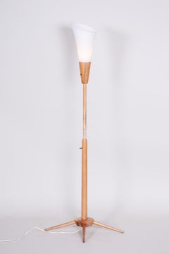 Original Mid-Century Floor Lamp, by ÚLUV, Ash Wood, Czech, 1960s