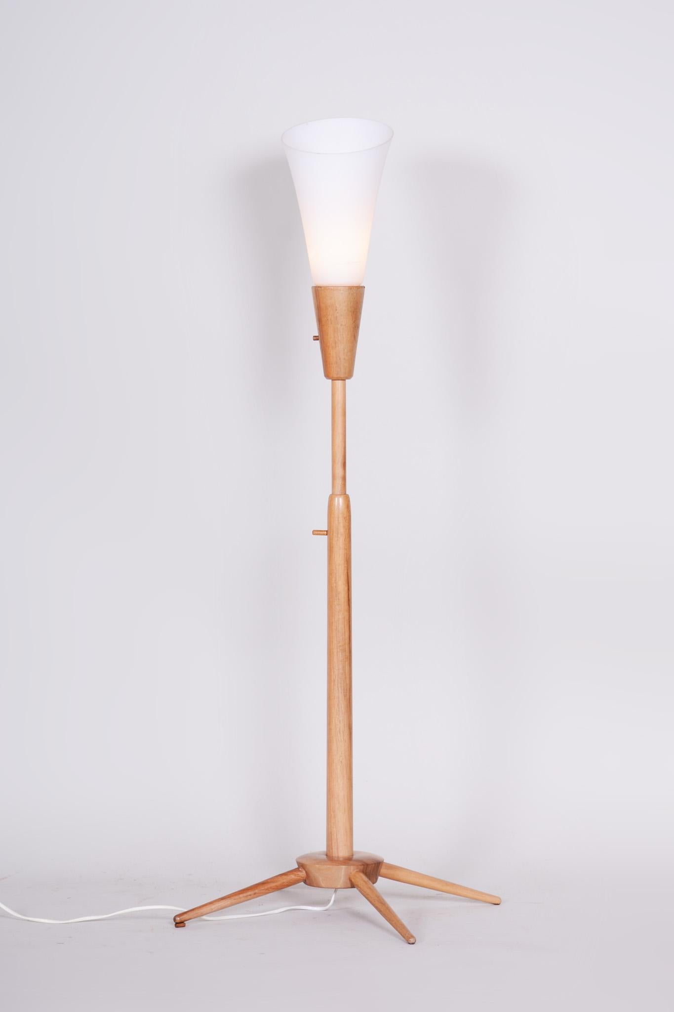 Mid-Century Modern Original Mid-Century Floor Lamp, by ÚLUV, Ash Wood, Czech, 1960s For Sale
