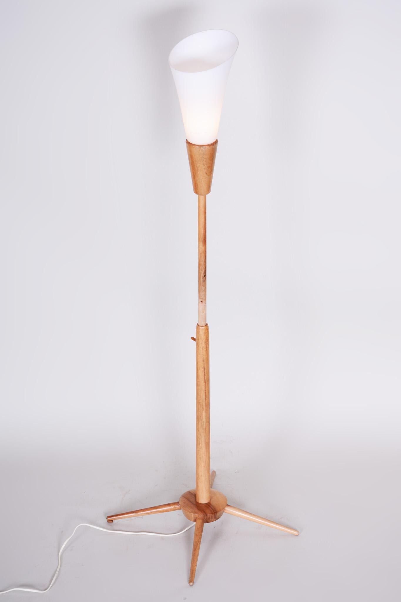 Mid-20th Century Original Mid-Century Floor Lamp, by ÚLUV, Ash Wood, Czech, 1960s For Sale