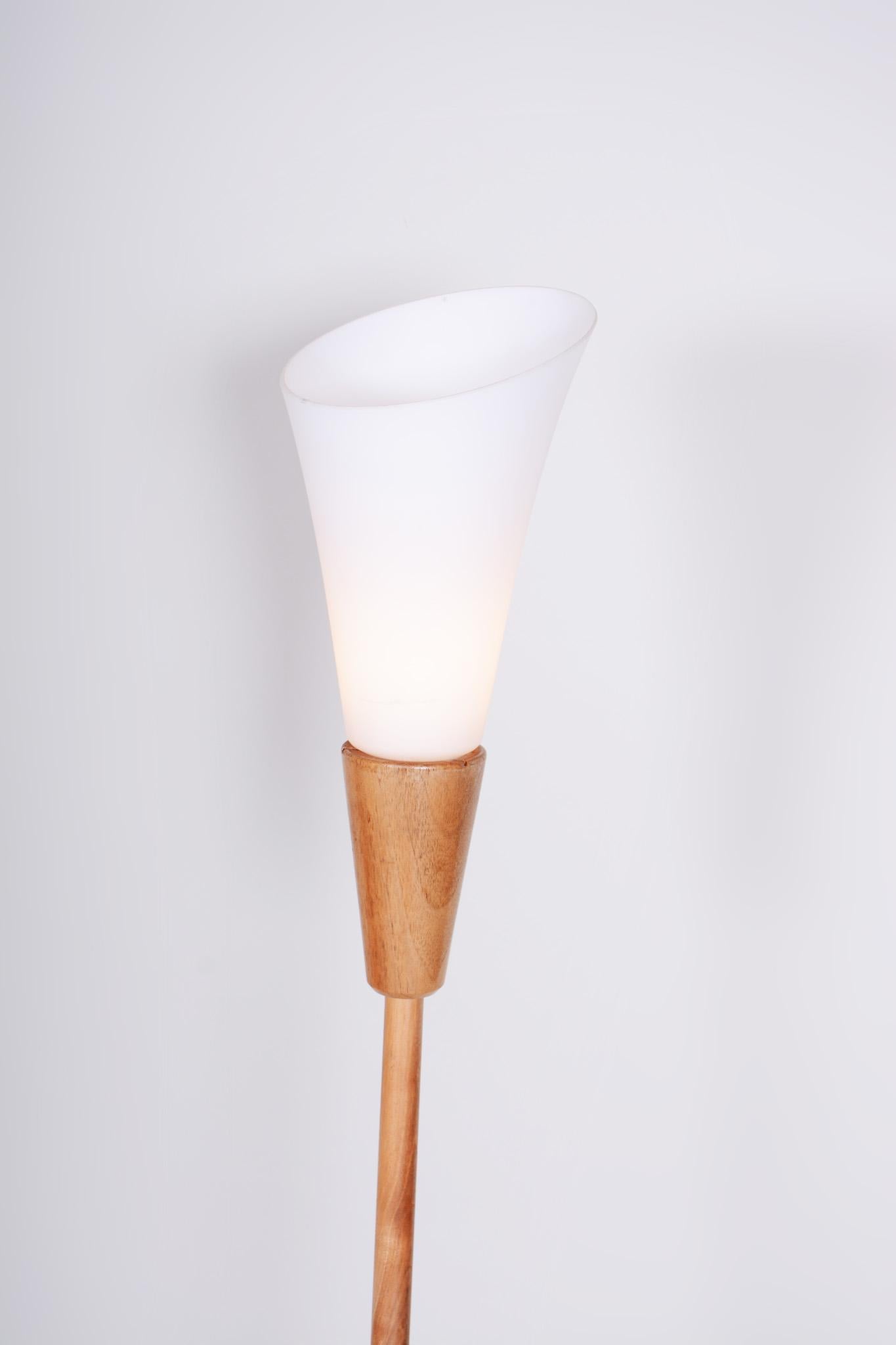 Original Mid-Century Floor Lamp, by ÚLUV, Ash Wood, Czech, 1960s For Sale 1
