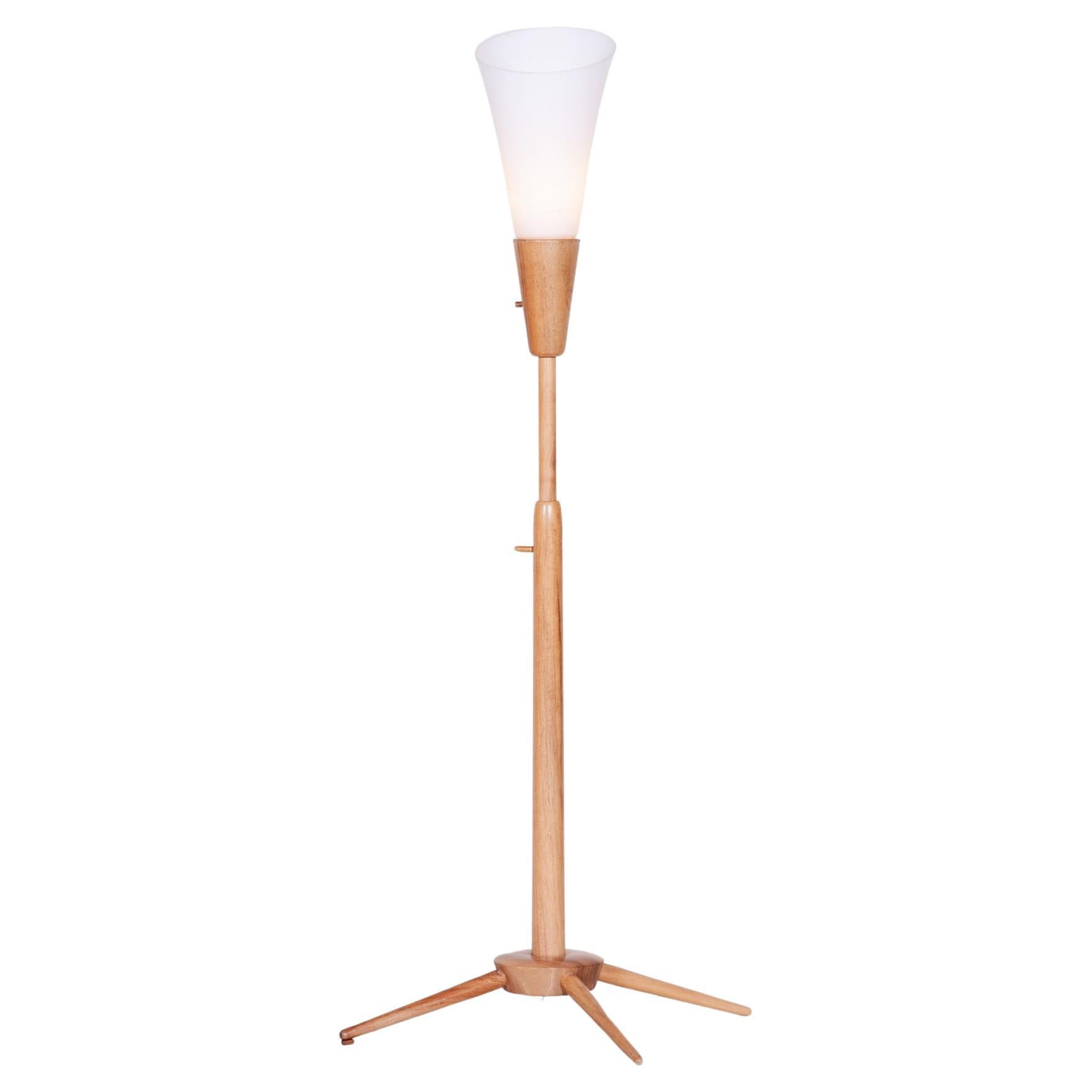 Original Mid-Century Floor Lamp, by ÚLUV, Ash Wood, Czech, 1960s For Sale