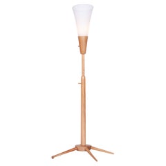 Lampadaire original du milieu du siècle, par ÚLUV, Wood Wood, tchèque, années 1960