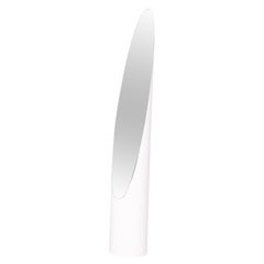 Original Mid-Century Floor Mirror, by Roger Lecal, Plastic, France, 1970s
