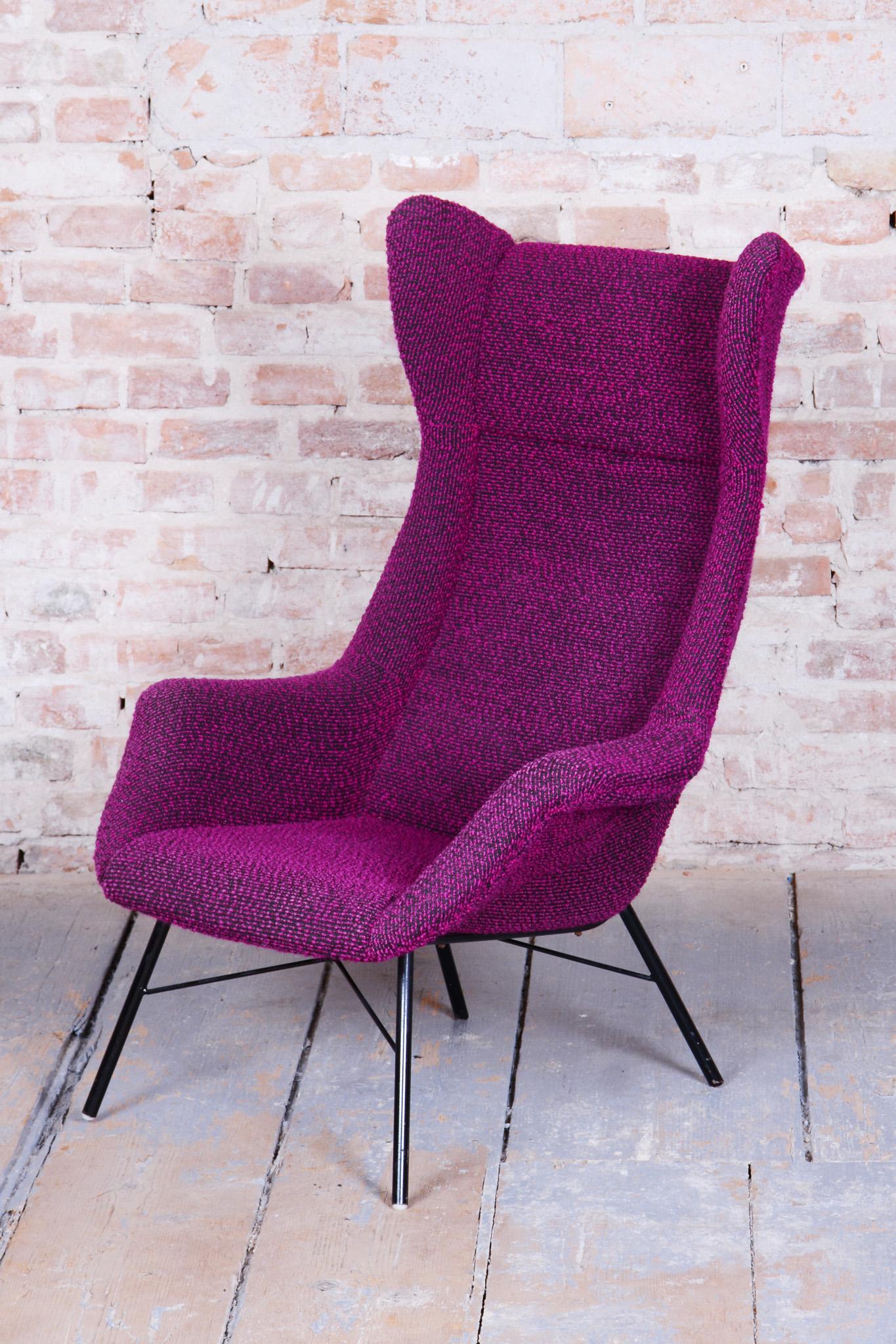 Mid-Century Modern Original Mid-Century Wingchair, Miroslav Navratil, Plastic Fiber, Czech, 1950s For Sale