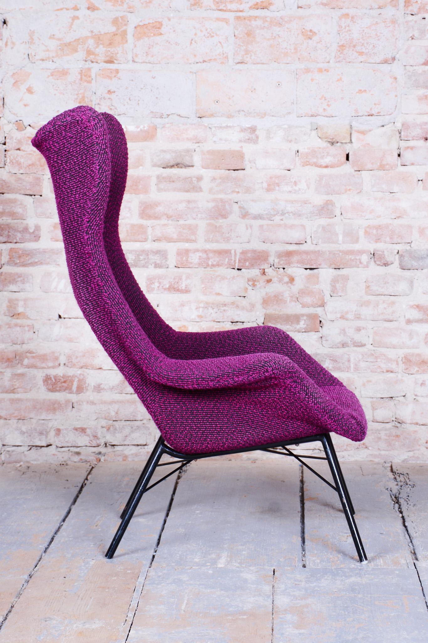 20th Century Original Mid-Century Wingchair, Miroslav Navratil, Plastic Fiber, Czech, 1950s For Sale