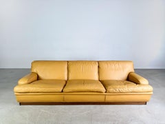 Original de mediados de siglo Dreisitzer Sofá Sofá Arne Norell México Leder