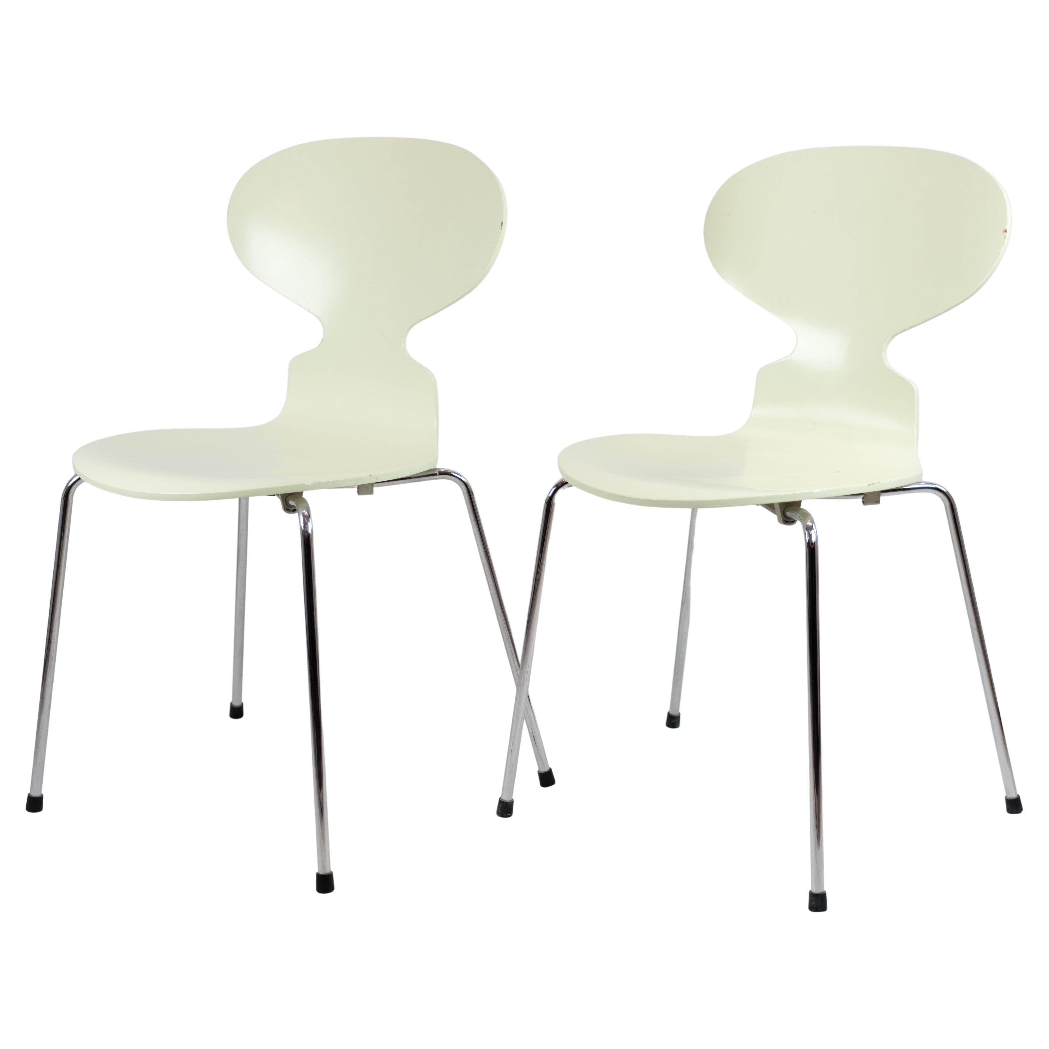 Original Ant Chairs Model 3101 In Pastel Green By Arne Jacobsen From 1970s For Sale