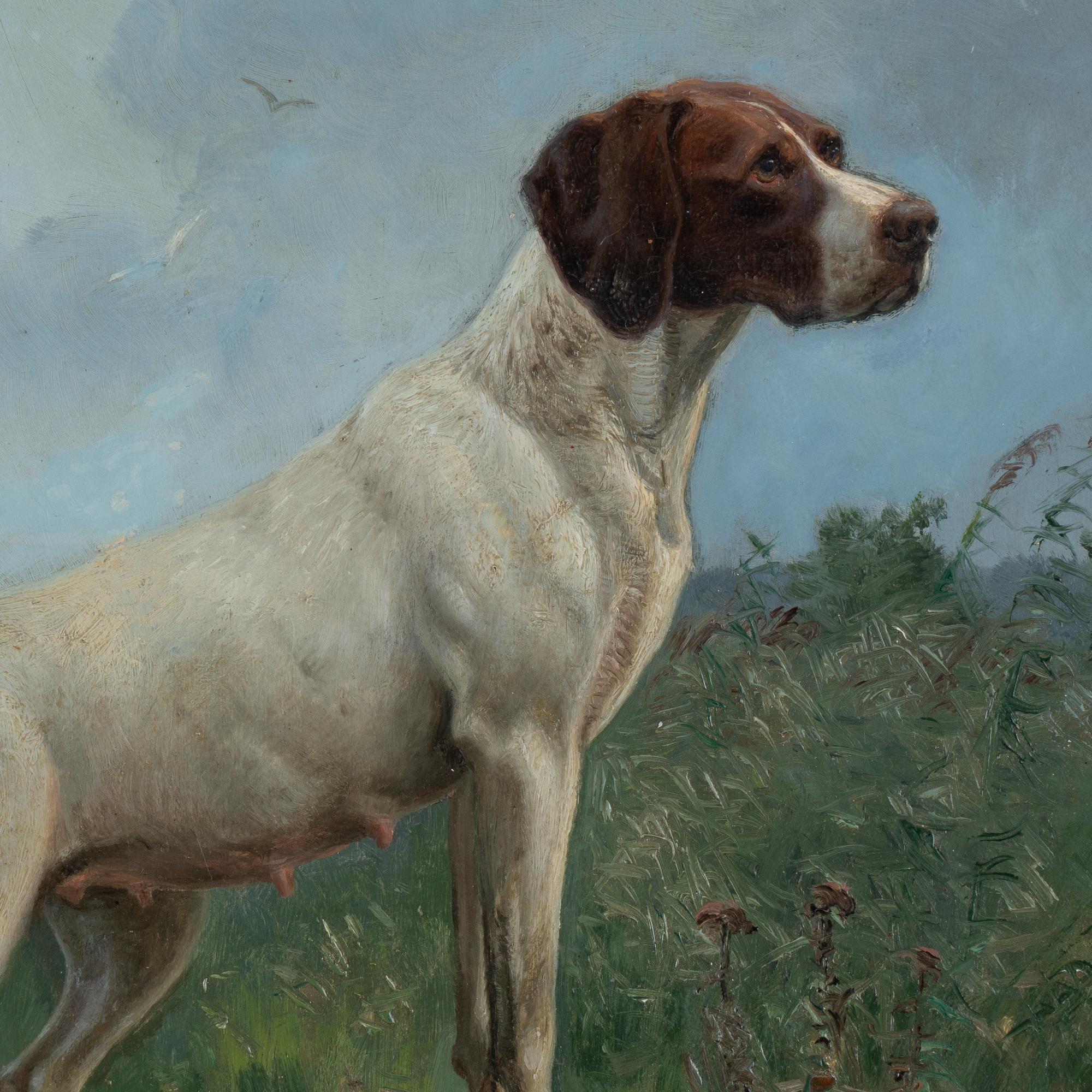 Canvas Original Oil on Board Painting of Pointer Dog, signed Simon Simonsen, 1896