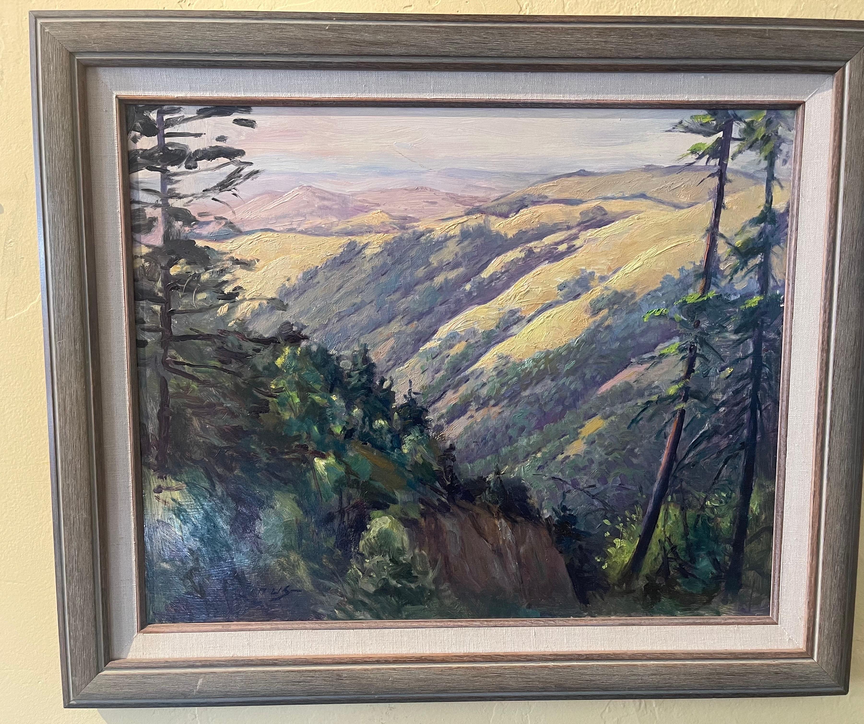 Original Oil on Board Southwest Plein Air Landscape Painting by Axel Linus 4