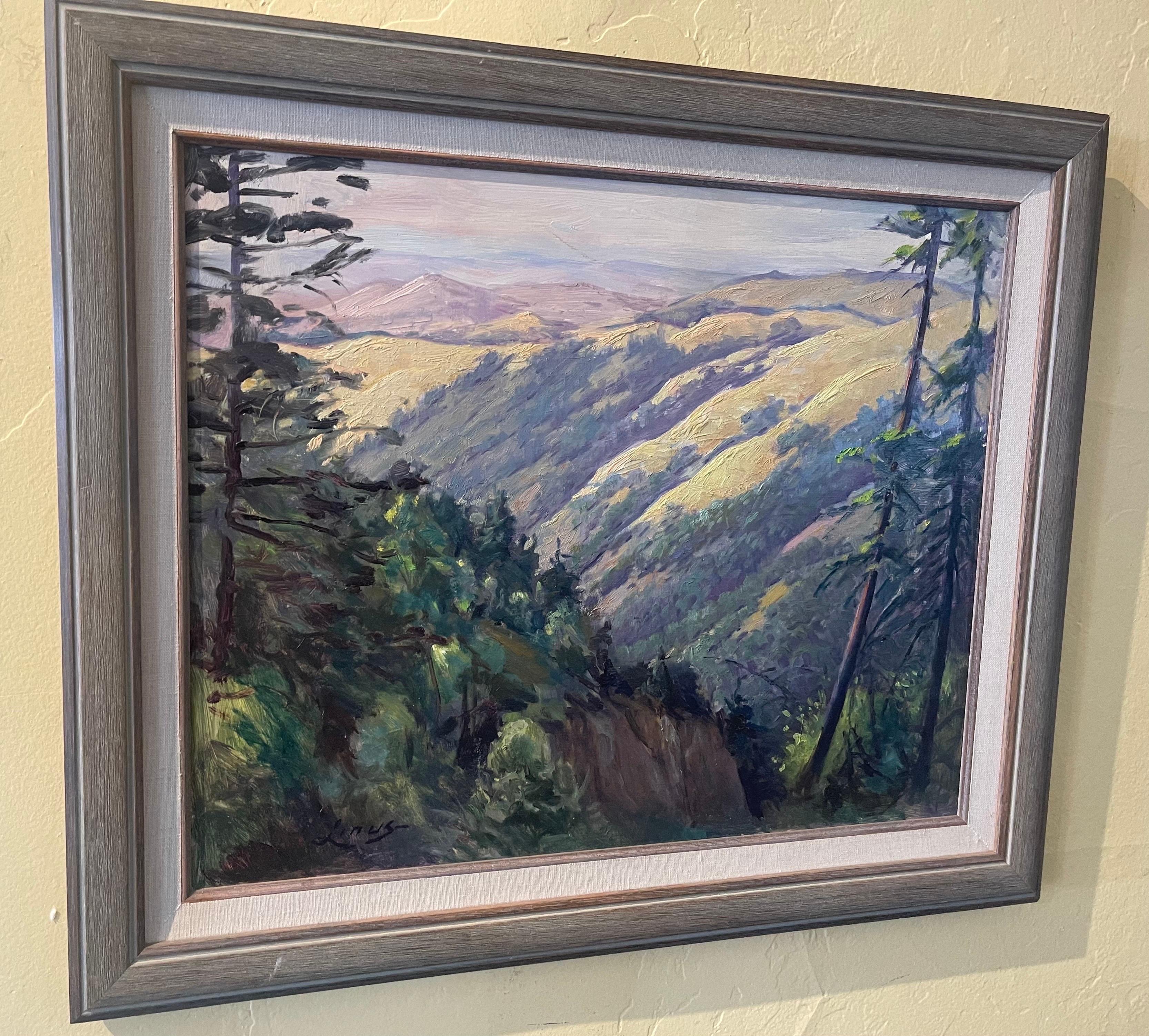 Original Oil on Board Southwest Plein Air Landscape Painting by Axel Linus 8
