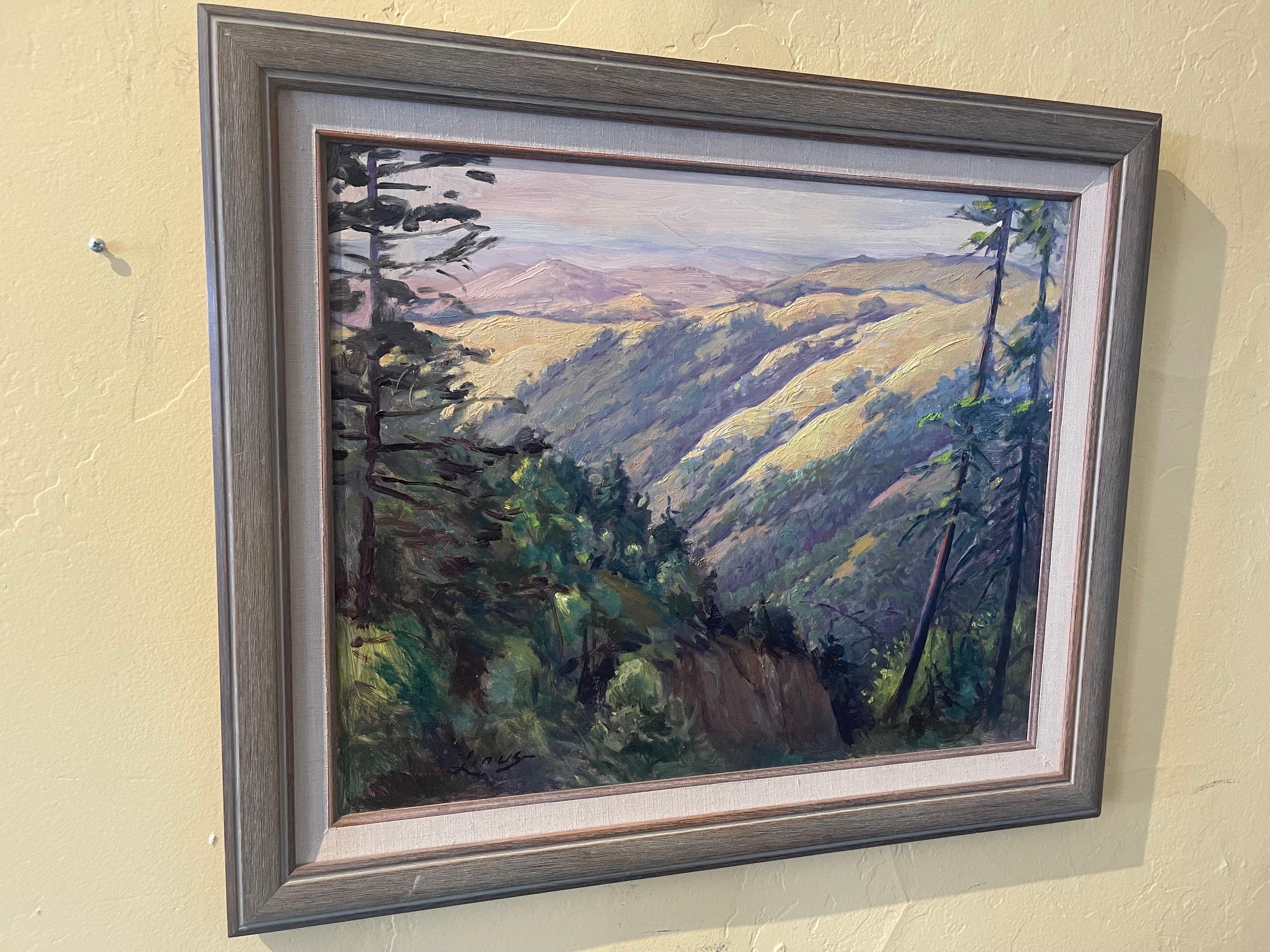 Original Oil on Board Southwest Plein Air Landscape Painting by Axel Linus 9
