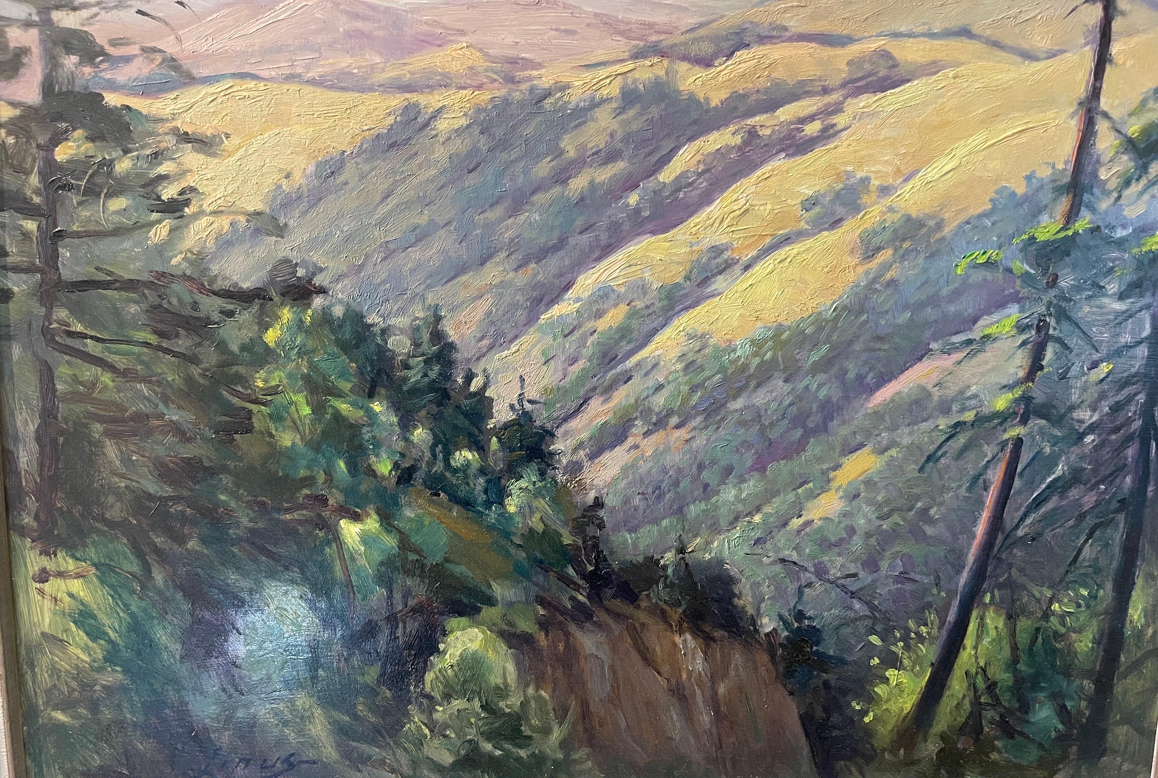 Wood Original Oil on Board Southwest Plein Air Landscape Painting by Axel Linus