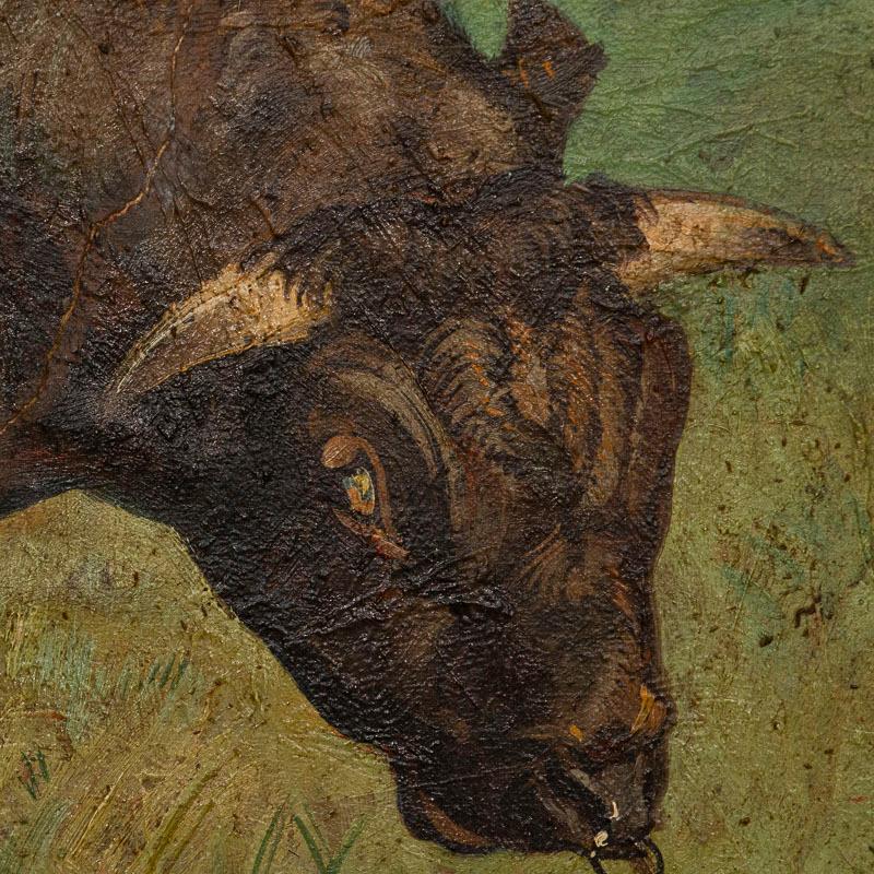 bull in field sign