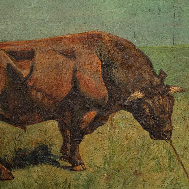 Original Oil on Canvas Painting of Bull in Field, Signed Gunnar L., Dated 1922 In Good Condition In Round Top, TX