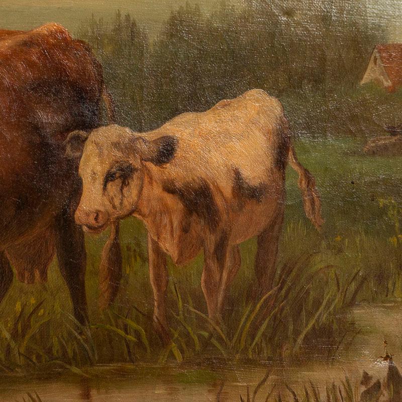 English Original Oil on Canvas Painting of Cows at Pond, Signed a.B.Morgan